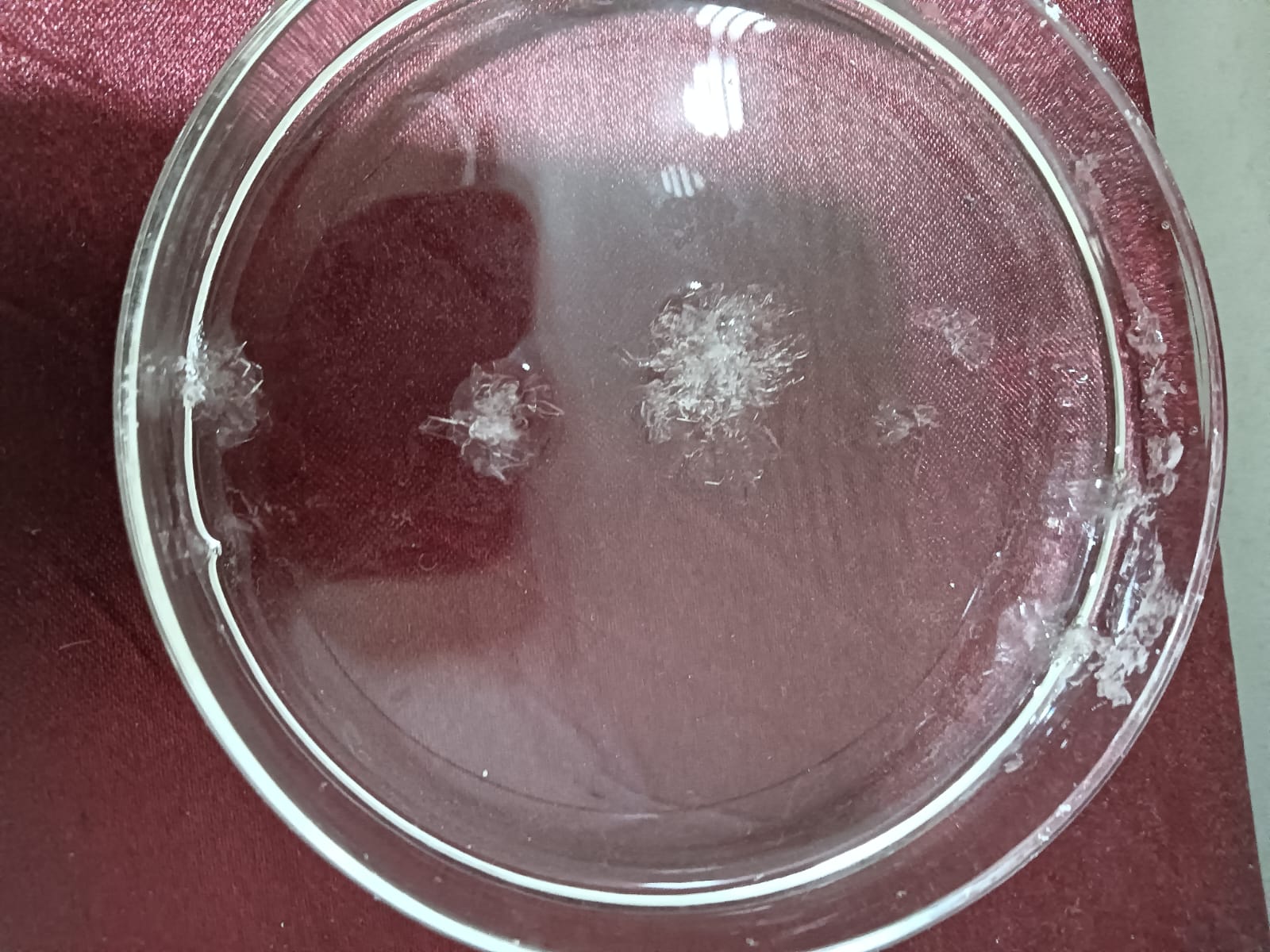 APB Crystal Formation